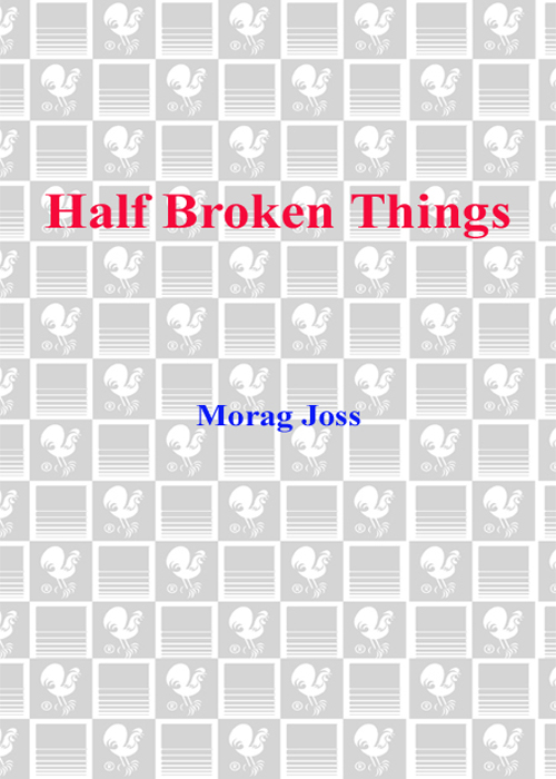 Half Broken Things