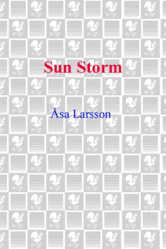 Sun Storm