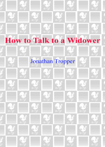 How to Talk to a Widower