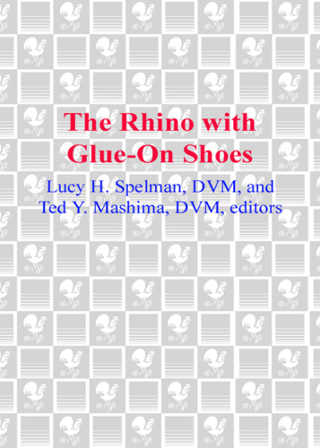The Rhino with Glue-On Shoes