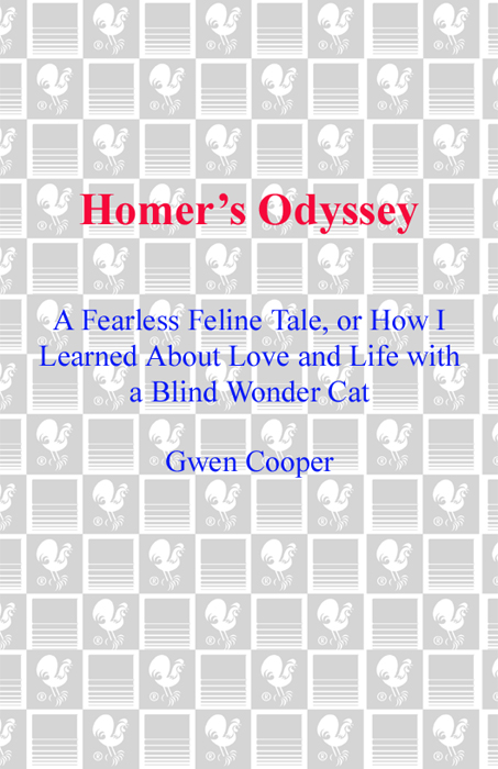 Homer's Odyssey