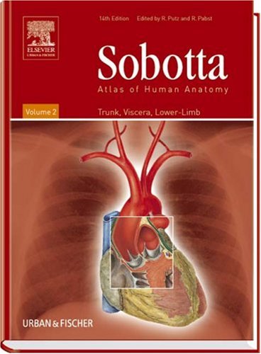 Thorax, Abdomen, Pelvis, Lower Limb (Atlas of Human Anatomy)