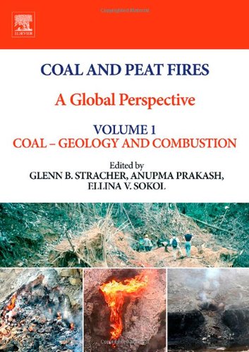 Coal and Peat Fires