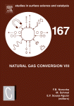 Natural Gas Conversion VIII, 167