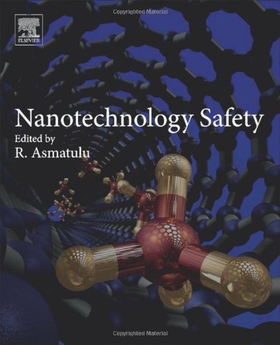 Nanotechnology Safety