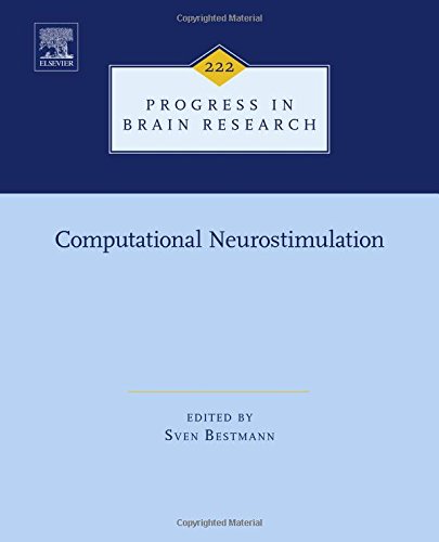 Computational neurostimulation