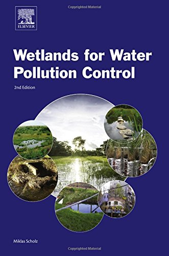 Wetland for water pollution control