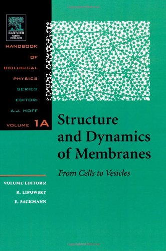 Structure And Dynamics Of Membranes