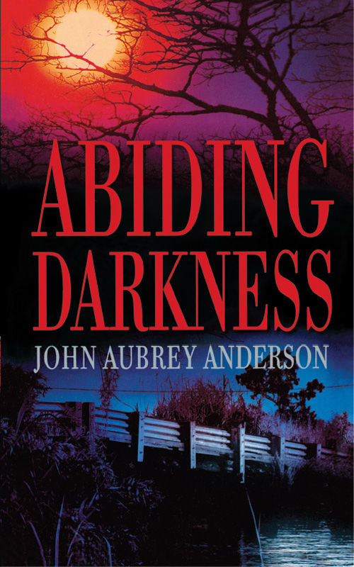 Abiding Darkness