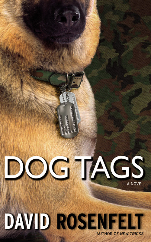 Dog Tags