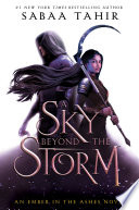 A Sky Beyond the Storm