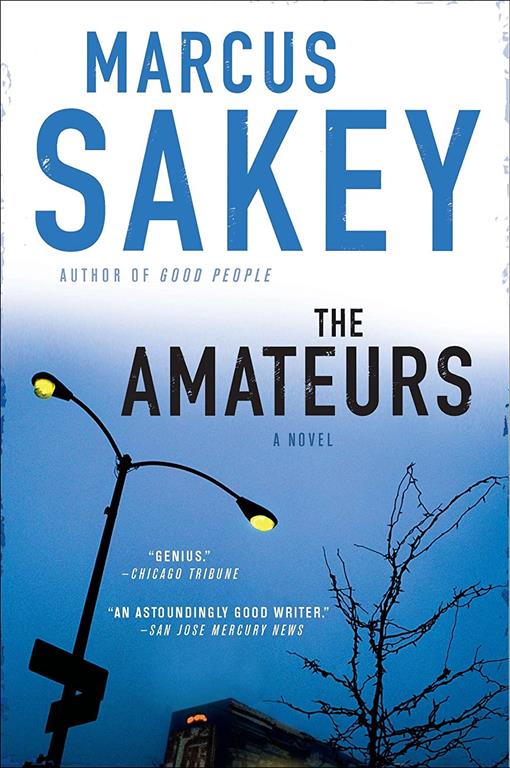 The Amateurs: A Thriller