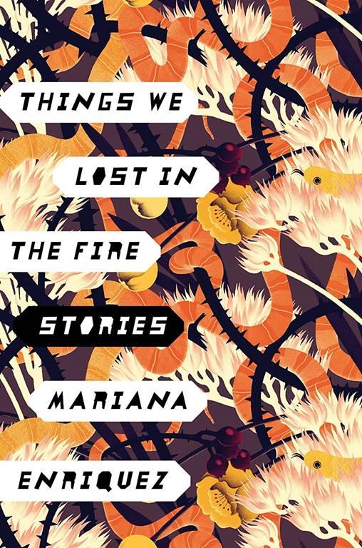 Things We Lost in the Fire: Stories