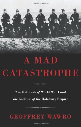 A Mad Catastrophe: The Outbreak of World War I and the Collapse of the Habsburg Empire