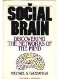 Social Brain