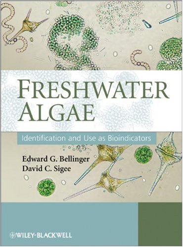 Freshwater Algae