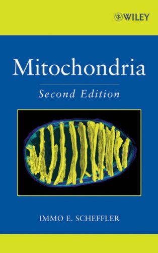 Mitochondria