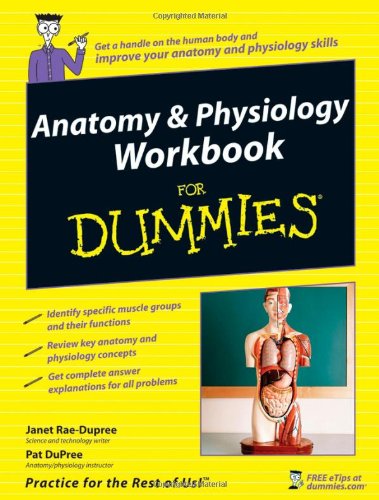 Anatomy & Physiology Workbook For Dummies