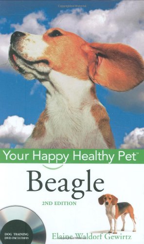 Beagle