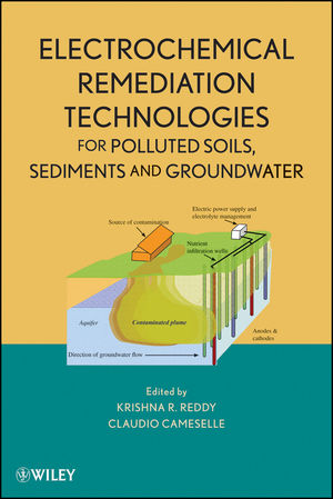 Electrochemical remediation technologies for polluted soils, sediments and groundwater