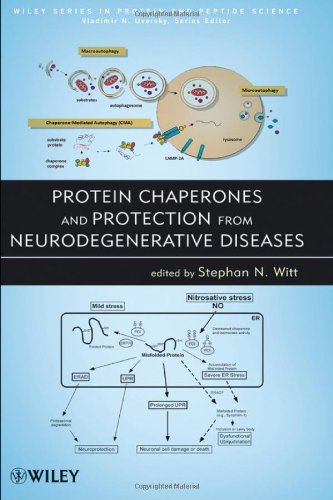 Protein Chaperones and Protection from Neurodegenerative Diseases