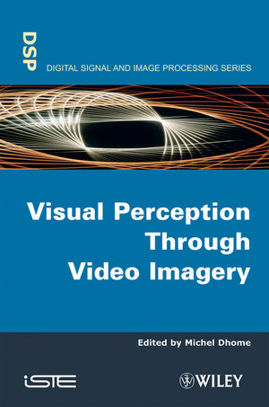 Visual perception through video imagery