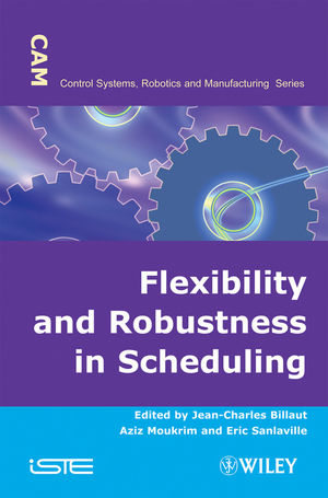 Flexibility and robustness in scheduling