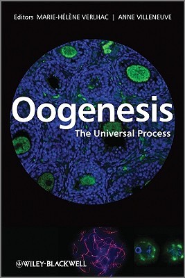 Oogenesis