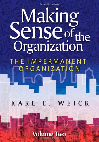 Making Sense of the Organization, Volume 2