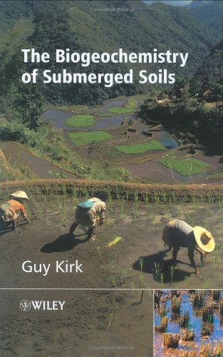 The Biogeochemistry of Submerged Soils