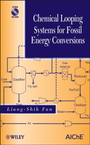 Chemical Looping Systems for Fossil Energy Conversions [With CDROM]