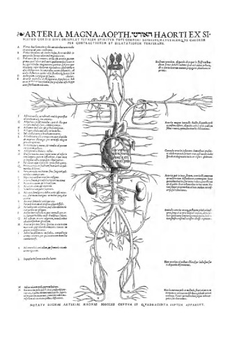 Endothelial dysfunctions and vascular disease