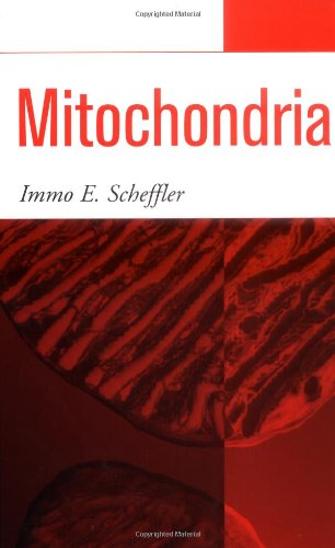 Mitochondria