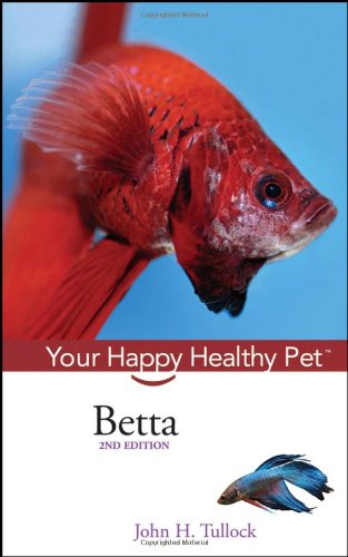 Betta