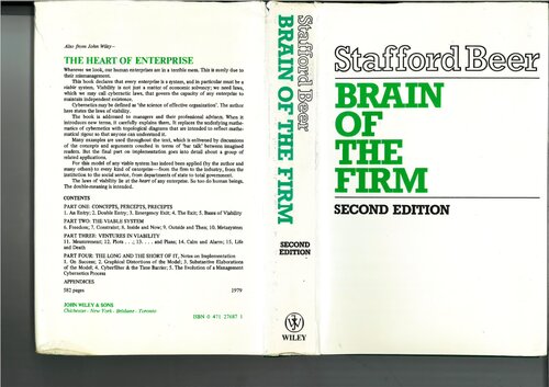 Brain of the Firm