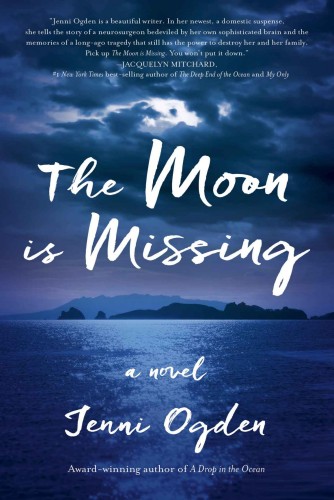 The Moon is Missing: a novel