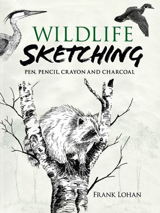 Wildlife Sketching