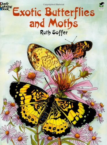 Exotic Butterflies and Moths