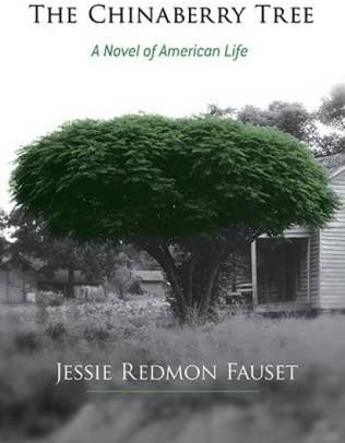 The Chinaberry Tree: A Novel of American Life