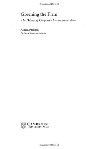 Greening the firm : the politics of corporate environmentalism