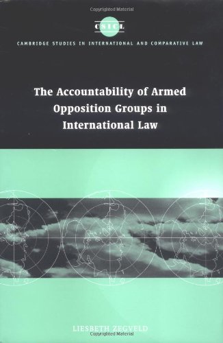 The Accountability of Armed Opposition Groups in International Law