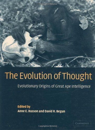 The Evolution of Thought