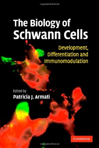 The Biology of Schwann Cells