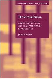 The Virtual Prison