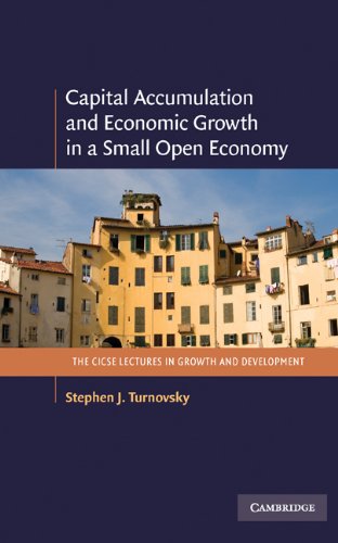 Capital accumulation and economic growth in a small open economy