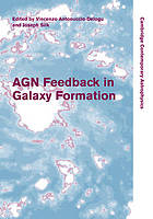 Agn Feedback in Galaxy Formation