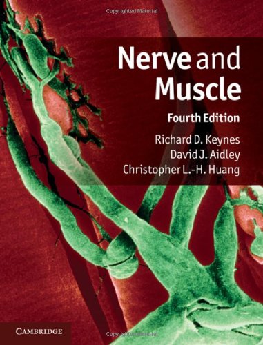 Nerve and muscle