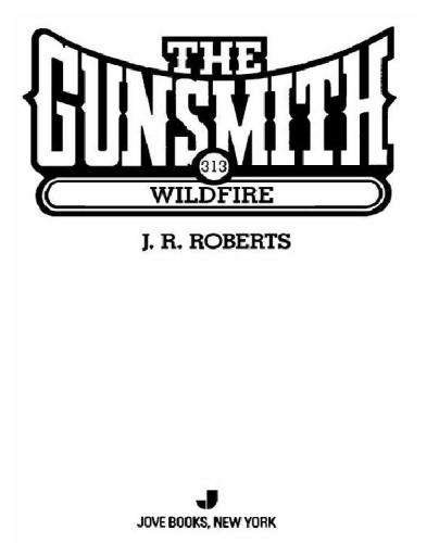 The Gunsmith 313: Wildfire