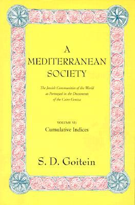 A Mediterranean Society, Volume VI