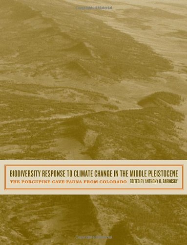 Biodiversity Response to Climate Change in the Middle Pleistocene